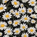 Seamless daisy banner for social media banner