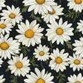 Seamless daisy banner for social media banner Royalty Free Stock Photo