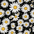 Seamless daisy banner for social media banner