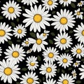 Seamless daisy banner for social media banner Royalty Free Stock Photo