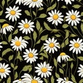 Seamless daisy banner for social media banner