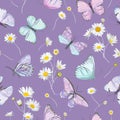 Seamless daisy flowers and butterfly vector background. Spring floral watercolor pattern