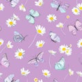 Seamless daisy flowers and butterfly violet vector background. Spring floral watercolor pattern Royalty Free Stock Photo