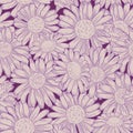 Seamless daisy pattern