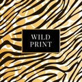 Zebra giraffe dalmatian pattern, animal print wild fashion color