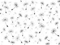 Seamless dandelion background