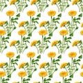 Seamless dandelion flowers and leaves pattern. Watercolor floral background with yellow dandelions flower and green leaves and bud Royalty Free Stock Photo