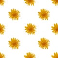 Seamless dandelion pattern isolated. Stock vector illustration