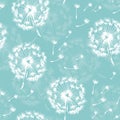 Seamless dandelion pattern, plant and seeds illustration
