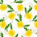 Seamless dandelion pattern vector.