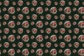 Seamless dark green nature pattern texture. Hand drawn chestnut buckeye on dark green background. Good for autumn fall