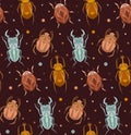 Seamless dark pattern with geometric insects and polka on brown background. Vector texture with stag beetle, flying ant, ladybug