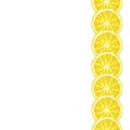 Seamless decorative border of lemon slice. Vector citrus Royalty Free Stock Photo