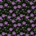 Seamless onion pattern