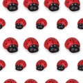 Seamless decorative pattern ladybugs Royalty Free Stock Photo