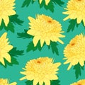 Seamless decorative pattern with light yellow chrysanthemum. Crown daisy repeated background. Vector Royalty Free Stock Photo