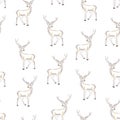 seamless deer pattern Royalty Free Stock Photo