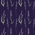 Seamless watercolor pattern with lavender flower on dark background for various romantic, spa, festive products, etc.