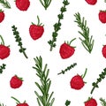 Seamless design berry pattern. Wallpaper with organic food. Backdrop for fabric and textile design with raspberries Royalty Free Stock Photo