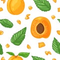 Seamless design fruit pattern. Wallpaper with organic vegetarian food. Backdrop for textile design with apricot and mint Royalty Free Stock Photo