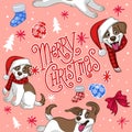 Seamless Design of Jack Russel Dog Christmas