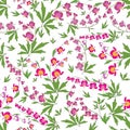 Seamless dicentra pattern