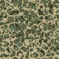 Seamless distressed camouflage texture background. Military uniform print. Irregular mottled watercolor pattern