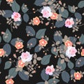 Seamless ditsy elegant pattern with small bouquets of garden rose flowers and huge leaves on black background. Print for fabric Royalty Free Stock Photo