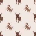 Seamless dogs and cats colorful background. Animal motifs. Loved pets