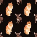 Seamless dogs and cats colorful background. Animal motifs. Loved pets