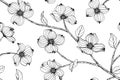 Seamless Dogwood flower pattern background. Royalty Free Stock Photo