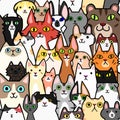 Seamless doodle cats colorful background