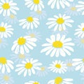 Seamless doodle white daisy pattern