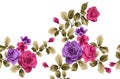 Seamless dry rose flower border design Royalty Free Stock Photo