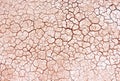 Seamless dry soil cracked texture background Royalty Free Stock Photo