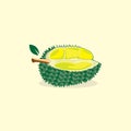 seamless durian fruit design vector