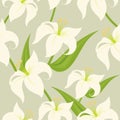 Seamless Easter Lily