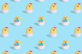 . seamless easter pattern. Knitted chicken on a blue background. Blank for festive packaging