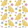 Seamless Easter pattern Watercolor hand drawn of yellow chiken, Spring flowers, willow, bow. Colorful bird, chikens baby Royalty Free Stock Photo