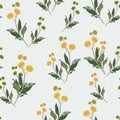 Seamless elegant floral pattern of yellow wildflowers. Botanical motifs are scattered randomly. Royalty Free Stock Photo