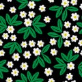 Seamless embroidery pattern with little white flower and green l Royalty Free Stock Photo