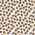 Seamless Endless Pattern of Brown Acorns. Autumn or Fall Vegetable Harvest Collection. Realistic Hand Drawn High Quality Vector Il