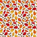 Seamless Endless Pattern of Oak Leaves and Acorns. Red, Orange and Yellow. Autumn or Fall Harvest Collection. Realistic Hand Drawn Royalty Free Stock Photo