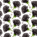 Seamless Endless Pattern with Print of beautiful Black roses and pearls on white background. Can be used in food industry for