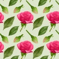 Seamless, endless pattern with roses and leaves, bright pink roses and green leaves on seamless background, design for your Royalty Free Stock Photo