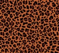 Seamless eopard pattern