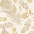 Seamless ethnic Indian feathers plumage pattern