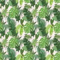 Seamless ethnic tropical pattern Royalty Free Stock Photo