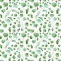 Seamless eucalyptus leaves pattern. Watercolor floral background with botanical illustration of eucalyptus leaf and branch for