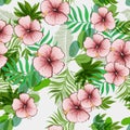 Seamless exotic pattern with tropical leaves and flowers. Royalty Free Stock Photo